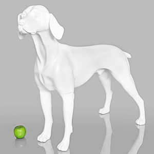 Dog Mannequin William - Anti-Scratch White